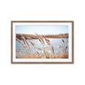 Picture of Fall Beach _GroupedProduct_Rectangle_Landscape_Photography _GroupedProduct_Rectangle_Landscape_Framed_Matted_