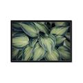Picture of Chinese Evergreen  _GroupedProduct_Rectangle_Landscape_Photography _GroupedProduct_Rectangle_Landscape_Framed_Matted_