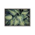 Picture of Chinese Evergreen  _GroupedProduct_Rectangle_Landscape_Photography _GroupedProduct_Rectangle_Landscape_Framed_Matted_