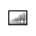 Picture of Lined Up Trees _GroupedProduct_Rectangle_Landscape_Photography _GroupedProduct_Rectangle_Landscape_Framed_Matted_
