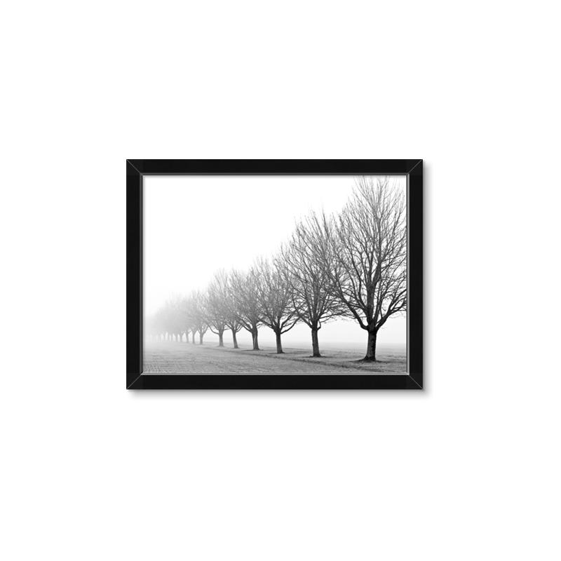 Picture of Lined Up Trees _GroupedProduct_Rectangle_Landscape_Photography _GroupedProduct_Rectangle_Landscape_Framed_Matted_