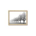 Picture of Lined Up Trees _GroupedProduct_Rectangle_Landscape_Photography _GroupedProduct_Rectangle_Landscape_Framed_Matted_