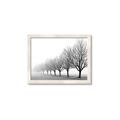 Picture of Lined Up Trees _GroupedProduct_Rectangle_Landscape_Photography _GroupedProduct_Rectangle_Landscape_Framed_Matted_