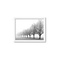 Picture of Lined Up Trees _GroupedProduct_Rectangle_Landscape_Photography _GroupedProduct_Rectangle_Landscape_Framed_Matted_