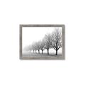 Picture of Lined Up Trees _GroupedProduct_Rectangle_Landscape_Photography _GroupedProduct_Rectangle_Landscape_Framed_Matted_