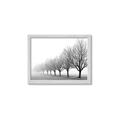 Picture of Lined Up Trees _GroupedProduct_Rectangle_Landscape_Photography _GroupedProduct_Rectangle_Landscape_Framed_Matted_