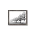 Picture of Lined Up Trees _GroupedProduct_Rectangle_Landscape_Photography _GroupedProduct_Rectangle_Landscape_Framed_Matted_