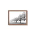 Picture of Lined Up Trees _GroupedProduct_Rectangle_Landscape_Photography _GroupedProduct_Rectangle_Landscape_Framed_Matted_