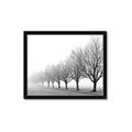 Picture of Lined Up Trees _GroupedProduct_Rectangle_Landscape_Photography _GroupedProduct_Rectangle_Landscape_Framed_Matted_