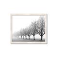 Picture of Lined Up Trees _GroupedProduct_Rectangle_Landscape_Photography _GroupedProduct_Rectangle_Landscape_Framed_Matted_