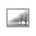 Picture of Lined Up Trees _GroupedProduct_Rectangle_Landscape_Photography _GroupedProduct_Rectangle_Landscape_Framed_Matted_
