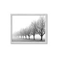 Picture of Lined Up Trees _GroupedProduct_Rectangle_Landscape_Photography _GroupedProduct_Rectangle_Landscape_Framed_Matted_