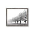 Picture of Lined Up Trees _GroupedProduct_Rectangle_Landscape_Photography _GroupedProduct_Rectangle_Landscape_Framed_Matted_