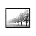 Picture of Lined Up Trees _GroupedProduct_Rectangle_Landscape_Photography _GroupedProduct_Rectangle_Landscape_Framed_Matted_