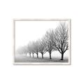 Picture of Lined Up Trees _GroupedProduct_Rectangle_Landscape_Photography _GroupedProduct_Rectangle_Landscape_Framed_Matted_