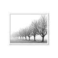 Picture of Lined Up Trees _GroupedProduct_Rectangle_Landscape_Photography _GroupedProduct_Rectangle_Landscape_Framed_Matted_