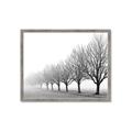 Picture of Lined Up Trees _GroupedProduct_Rectangle_Landscape_Photography _GroupedProduct_Rectangle_Landscape_Framed_Matted_