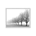 Picture of Lined Up Trees _GroupedProduct_Rectangle_Landscape_Photography _GroupedProduct_Rectangle_Landscape_Framed_Matted_