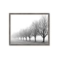 Picture of Lined Up Trees _GroupedProduct_Rectangle_Landscape_Photography _GroupedProduct_Rectangle_Landscape_Framed_Matted_
