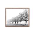 Picture of Lined Up Trees _GroupedProduct_Rectangle_Landscape_Photography _GroupedProduct_Rectangle_Landscape_Framed_Matted_