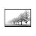 Picture of Lined Up Trees _GroupedProduct_Rectangle_Landscape_Photography _GroupedProduct_Rectangle_Landscape_Framed_Matted_