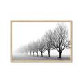 Picture of Lined Up Trees _GroupedProduct_Rectangle_Landscape_Photography _GroupedProduct_Rectangle_Landscape_Framed_Matted_
