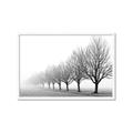 Picture of Lined Up Trees _GroupedProduct_Rectangle_Landscape_Photography _GroupedProduct_Rectangle_Landscape_Framed_Matted_