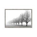 Picture of Lined Up Trees _GroupedProduct_Rectangle_Landscape_Photography _GroupedProduct_Rectangle_Landscape_Framed_Matted_