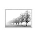Picture of Lined Up Trees _GroupedProduct_Rectangle_Landscape_Photography _GroupedProduct_Rectangle_Landscape_Framed_Matted_