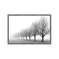 Picture of Lined Up Trees _GroupedProduct_Rectangle_Landscape_Photography _GroupedProduct_Rectangle_Landscape_Framed_Matted_
