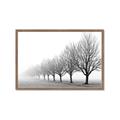 Picture of Lined Up Trees _GroupedProduct_Rectangle_Landscape_Photography _GroupedProduct_Rectangle_Landscape_Framed_Matted_