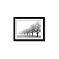 Picture of Lined Up Trees _GroupedProduct_Rectangle_Landscape_Photography _GroupedProduct_Rectangle_Landscape_Framed_Matted_