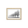 Picture of Lined Up Trees _GroupedProduct_Rectangle_Landscape_Photography _GroupedProduct_Rectangle_Landscape_Framed_Matted_
