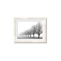 Picture of Lined Up Trees _GroupedProduct_Rectangle_Landscape_Photography _GroupedProduct_Rectangle_Landscape_Framed_Matted_