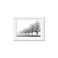Picture of Lined Up Trees _GroupedProduct_Rectangle_Landscape_Photography _GroupedProduct_Rectangle_Landscape_Framed_Matted_