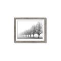 Picture of Lined Up Trees _GroupedProduct_Rectangle_Landscape_Photography _GroupedProduct_Rectangle_Landscape_Framed_Matted_