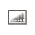 Picture of Lined Up Trees _GroupedProduct_Rectangle_Landscape_Photography _GroupedProduct_Rectangle_Landscape_Framed_Matted_