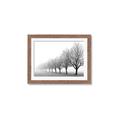 Picture of Lined Up Trees _GroupedProduct_Rectangle_Landscape_Photography _GroupedProduct_Rectangle_Landscape_Framed_Matted_
