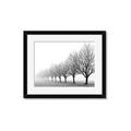 Picture of Lined Up Trees _GroupedProduct_Rectangle_Landscape_Photography _GroupedProduct_Rectangle_Landscape_Framed_Matted_