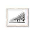 Picture of Lined Up Trees _GroupedProduct_Rectangle_Landscape_Photography _GroupedProduct_Rectangle_Landscape_Framed_Matted_