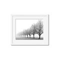 Picture of Lined Up Trees _GroupedProduct_Rectangle_Landscape_Photography _GroupedProduct_Rectangle_Landscape_Framed_Matted_