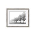 Picture of Lined Up Trees _GroupedProduct_Rectangle_Landscape_Photography _GroupedProduct_Rectangle_Landscape_Framed_Matted_