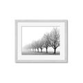 Picture of Lined Up Trees _GroupedProduct_Rectangle_Landscape_Photography _GroupedProduct_Rectangle_Landscape_Framed_Matted_