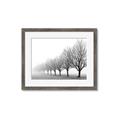 Picture of Lined Up Trees _GroupedProduct_Rectangle_Landscape_Photography _GroupedProduct_Rectangle_Landscape_Framed_Matted_