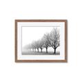 Picture of Lined Up Trees _GroupedProduct_Rectangle_Landscape_Photography _GroupedProduct_Rectangle_Landscape_Framed_Matted_
