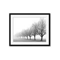 Picture of Lined Up Trees _GroupedProduct_Rectangle_Landscape_Photography _GroupedProduct_Rectangle_Landscape_Framed_Matted_
