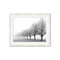 Picture of Lined Up Trees _GroupedProduct_Rectangle_Landscape_Photography _GroupedProduct_Rectangle_Landscape_Framed_Matted_