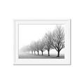 Picture of Lined Up Trees _GroupedProduct_Rectangle_Landscape_Photography _GroupedProduct_Rectangle_Landscape_Framed_Matted_
