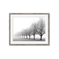 Picture of Lined Up Trees _GroupedProduct_Rectangle_Landscape_Photography _GroupedProduct_Rectangle_Landscape_Framed_Matted_