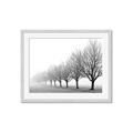 Picture of Lined Up Trees _GroupedProduct_Rectangle_Landscape_Photography _GroupedProduct_Rectangle_Landscape_Framed_Matted_